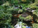 静寂に寄り添う四季の息吹 和の美が息づく日本のやすらぎ(庭園)