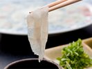 下関産天然ふぐづくし | 透ける美しさ、舌にとろける極上の瞬間(造里)