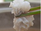国産天然鱧懐石 | ふわっと広がる鱧の旨み、ポン酢・梅肉であっさりとお召し上がりください!