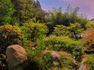 春は芽吹き、夏は涼風、秋は紅葉、冬は静寂――季節が語りかける庭の物語。(庭園)