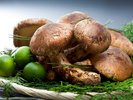 松茸懐石 | 自然が育む香りの王様。秋限定・松茸の恵み(素材イメージ)