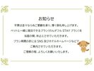お知らせ