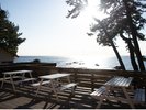 BBQ�e���X