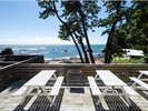 BBQ�e���X