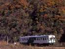 紅葉を楽しみながら♪秋の大糸線