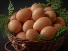 朝露を帯びた、自家農園の朝採れ卵。命の力強さを、濃厚な滋味で。