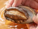 大村湾の恵みをその手に。厳選された活きアワビの、生命力あふれる滋味。
