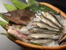 大村湾の豊かな海の恵み。水揚げされたばかりの旬魚と活きあわびを、旬の贅として。