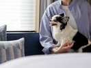 Dog Friendly Room�F�����ƈꏏ�ɒn������闷���B