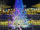 *【クリスマスツリー|一例】ミューの森がある山梨県上野原市産の「もみの木」で出来たクリスマスツリー