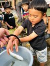 �m�}�X�̂��ݎ��n���{���Ԃ�HP�ł��m�点�������܂��B
