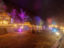 *【ウェルカム広場|外観/一例】夜はイルミネーションが彩り、日中とはまた違う、特別な空間を演出します