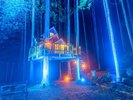 *【ツリーハウス|外観/一例】夜はイルミネーションが彩り、日中とはまた違う、特別な空間を演出します