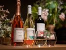 【ラウンジ】アルコールドリンク※18:00〜21:00