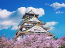 大阪城天守閣 桜