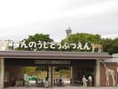 天王寺動物園、天王寺駅5番出口から徒歩8分程です。