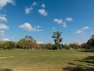 万博公園内風景