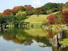 万博公園 日本庭園1