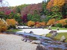 万博公園 日本庭園2