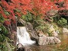 万博公園 日本庭園3