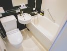 Stndard-Twin Bath-toilet