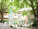 中庭「パティオ」自然の中でたくさんの祝福に包まれて・・・