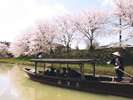 【城下町 大聖寺川流し舟】季節の花なども眺めながらゆったり♪※画像提供元:KAGA旅まちネット