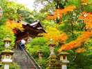 【那谷寺】県内有数の紅葉スポット鮮やかな景色が風情を感じさせます※画像提供元:KAGA旅まちネット