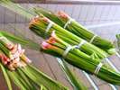 【菖蒲湯】毎年6月、加賀温泉郷では菖蒲湯まつりがございます※翠湖では6/3・4菖蒲湯にしております