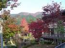秋はお部屋からも温泉からも、キレイな紅葉を眺められます。