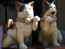 谷中七福猫