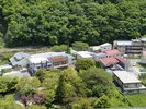 客室からの眺望