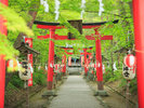 花巻温泉稲荷神社 新緑の時季