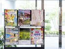 周辺観光情報をご案内設置。ご自由にお持ちください。