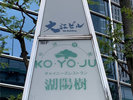 湖陽樹
