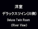 fbNXcC(쑤)  Deluxe Twin Room (Rever View)