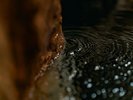 「美肌の湯|萩姫の湯」としても知られる磐梯熱海温泉。アルカリ性の単純温泉で、肌触りが良く透明。
