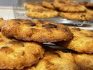 お土産に人気のチョコマカダミアクッキー
