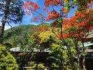 色鮮やかな庭園