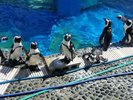 四国水族館