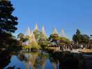 【兼六園】加賀藩前田家の庭園として造られた特別名勝で、池や築山、御亭などが点在する回遊式庭園です