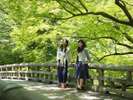 【鶴仙渓】情緒あふれる総檜造りのこおろぎ橋を渡って散策を楽しもう