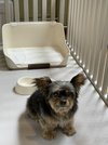 ワンちゃん 2匹迄ご利用可能です。