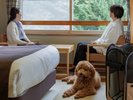 和室ツイン ご利用イメージ