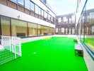DOG TERRACE