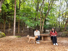 DOG PARK(犬種フリー)1階 ホテル敷地内