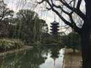 東寺