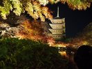 「東寺(秋の紅葉のライトアップ)」徒歩15分