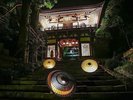 大献灯