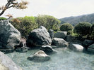 豊かな自然に囲まれた温泉郷・さぎの湯温泉。ゆっくりとお寛ぎくださいませ。